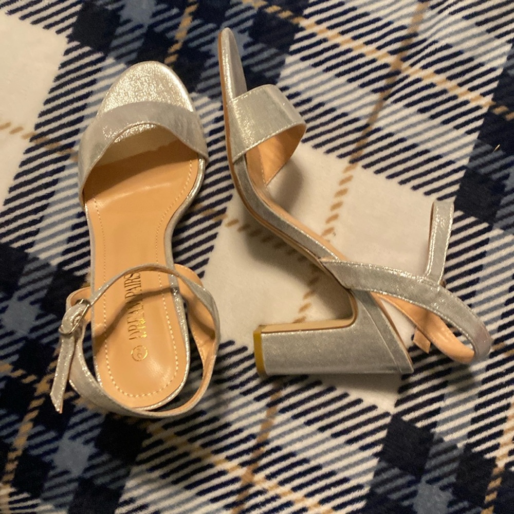 Silver Dream Pairs Heels